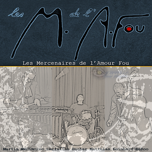 Albumcover Flugsalbi